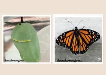 Growing Through Challenges of Life