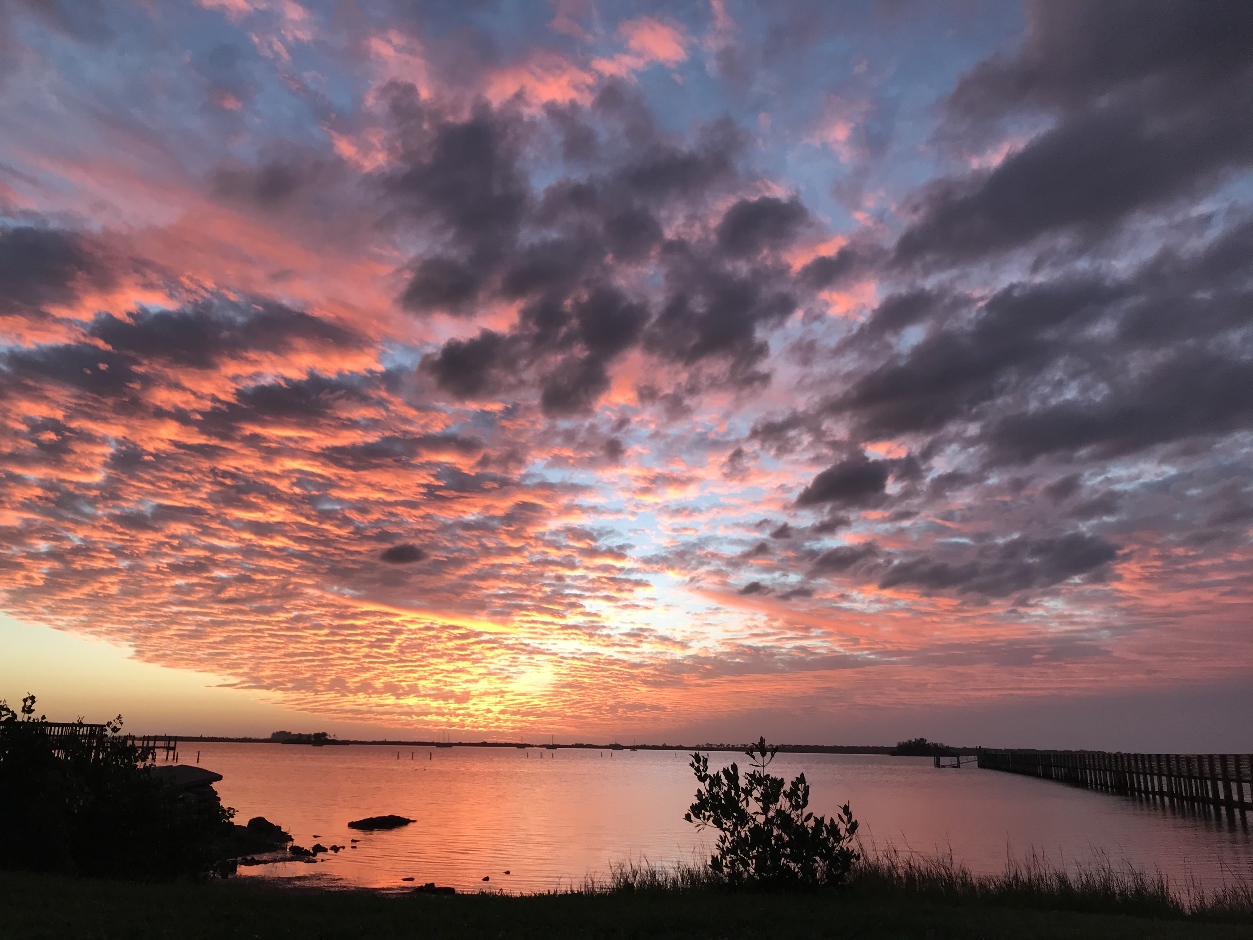 <b>Nature Reflections</b>