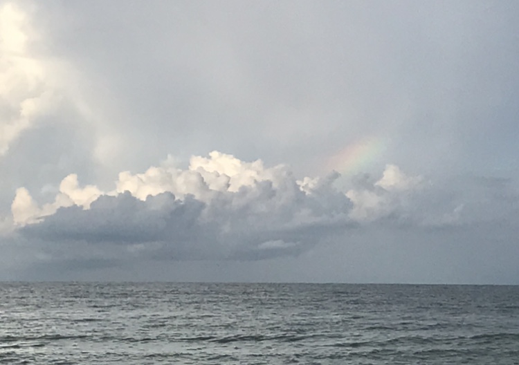 More Healing on the Horizon: Processing Grief