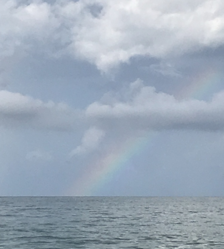 Healing on the Horizon: Processing Grief